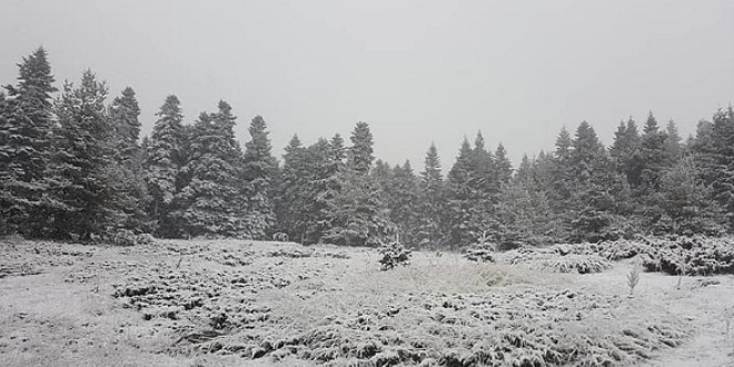 Ankara'ya mevsimin ilk karı düştü