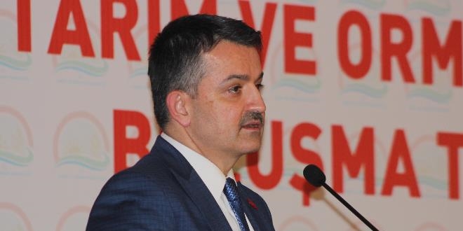 Pakdemirli: Hal yasası üzerinde çalışmalarımız devam ediyor