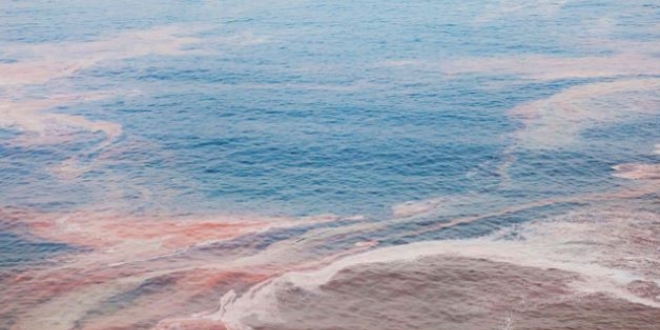 Doğa, tekstil atıklarından 'doğa' ile korunuyor