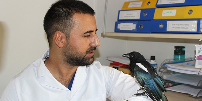 Kendisini tedavi eden veterinerden ayrılamıyor