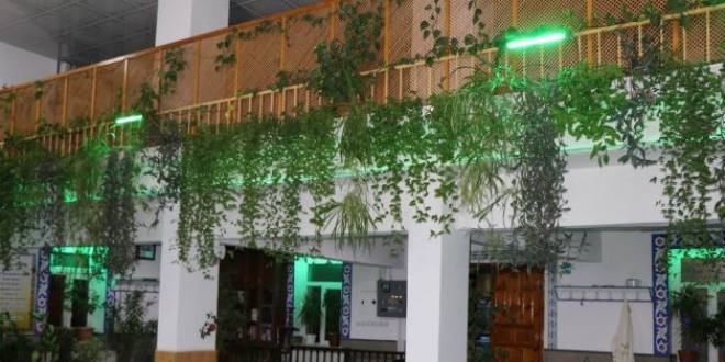 İmam camiyi botanik bahçesine dönüştürdü