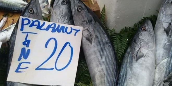 Palamut sezonunun sonunda fiyatlar yükseldi