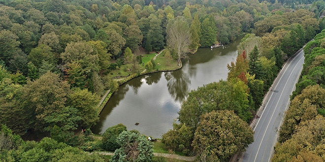 Atatürk Arboretumu kaçış noktası haline geldi
