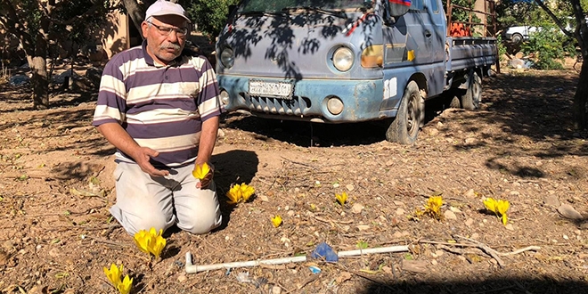 Emekli öğretmen, bahçesinde yetiştirip doğada ekiyor