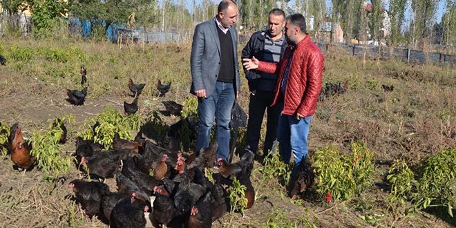 Şoförlüğü bırakıp devlet desteği ile çiftlik kurdu