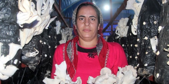 4 çocuk annesi, sera projesiyle örnek oldu