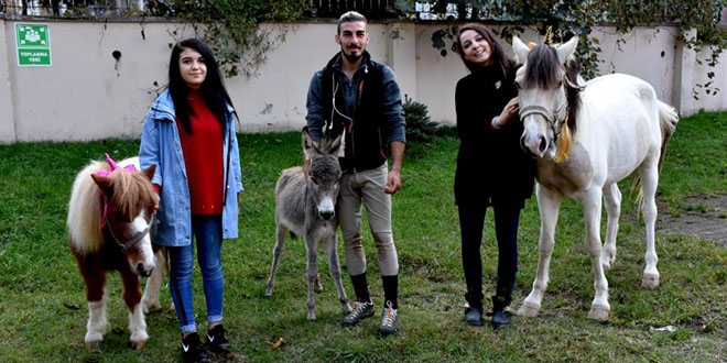 Okulları gezip çocuklara at sevgisi aşılıyorlar