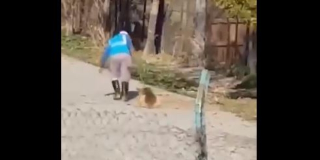Köpeği yerde sürükleyen personele idari soruşturma