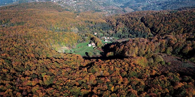 Kastamonu'da sonbahar renklerinin görsel şöleni