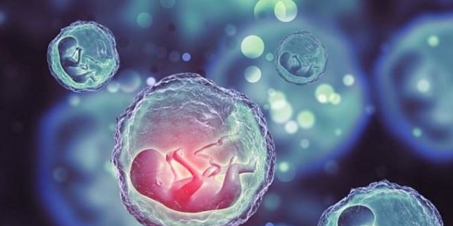 Donasyona yönlendiren doktora 5 yıl hapis