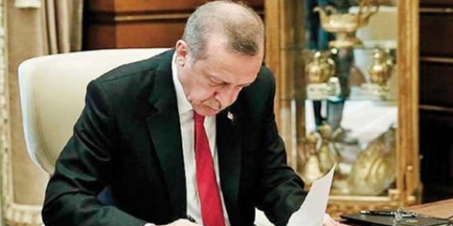 AK Parti Yerel Yönetimler Başkanlığı saha analiz raporunu Başkan Erdoğan'a sundu