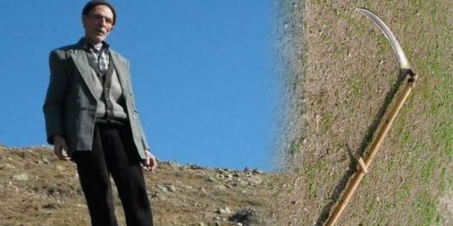 Kız kardeşini orakla öldürdü