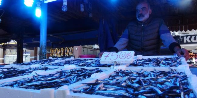 Palamut tezgahlardaki yerini hamsiye bıraktı