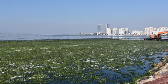 İzmir Körfezi bu haldeydi... Tamamı temizlendi