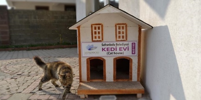 Safranbolu'da tarihi ev görünümlü kedi evleri