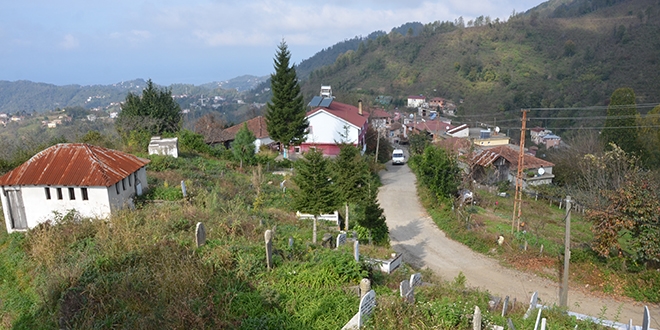 Fıkra gibi mahalle