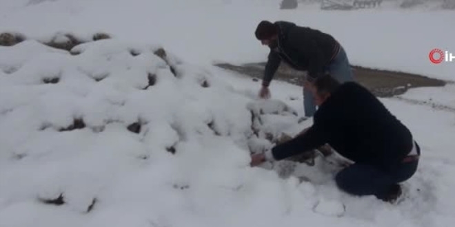 Bakanlıktan 'pancar alımı' açıklaması