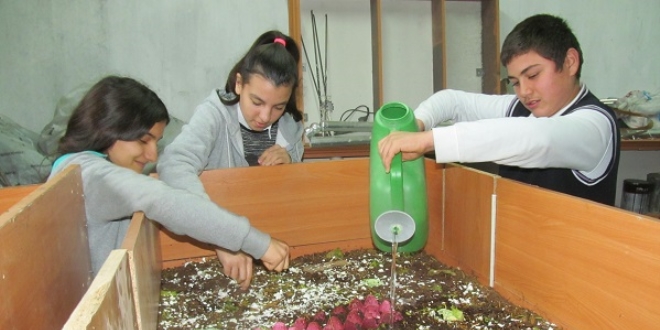 Bu okulda öğrenciler solucan gübresi üretiyor