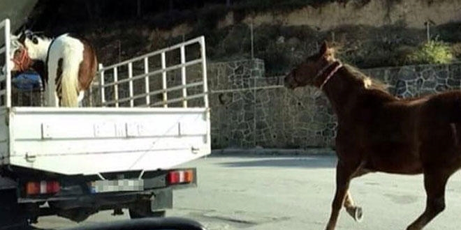 Bu görüntüye sosyal medyada tepki yağdı