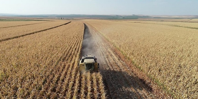 TMO'dan çiftçiye 'alım fiyatı' müjdesi