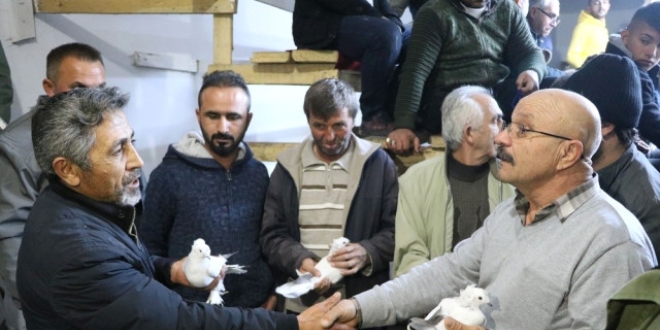Güvercin sevdası arabasını sattırdı