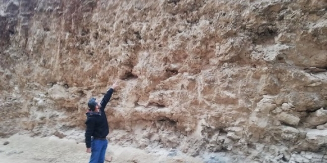 Mardin'de dinozor fosili bulunduu iddias vatandalar heyecanlandrd