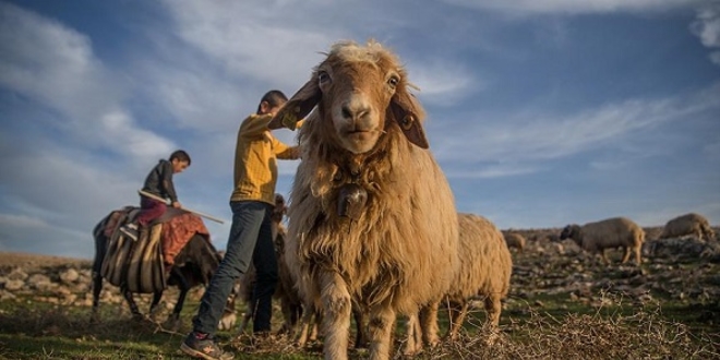 134 kırsal kalkınma projesine 92 milyon lira hibe