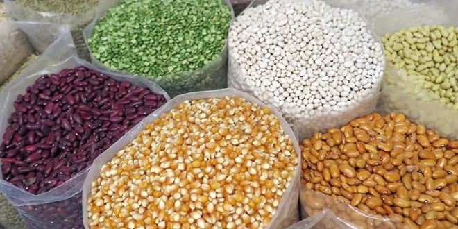 'Tohumda İsrail'e bağımlı değiliz'