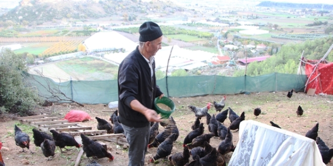 Son maaşı ile çiftlik kurdu, koli koli yumurta topluyor
