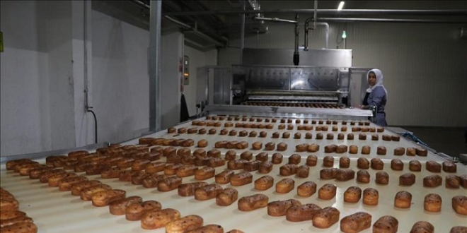 Babasının tavsiyesine uydu, bin 300 kişiye iş veriyor
