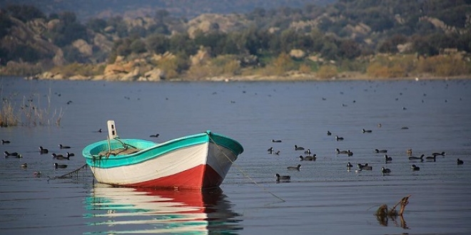 Yağışlarla temizlenen Bafa Gölü nefes almaya başladı