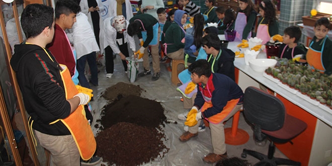 Sınıfı seraya çevirip kaktüs ektiler