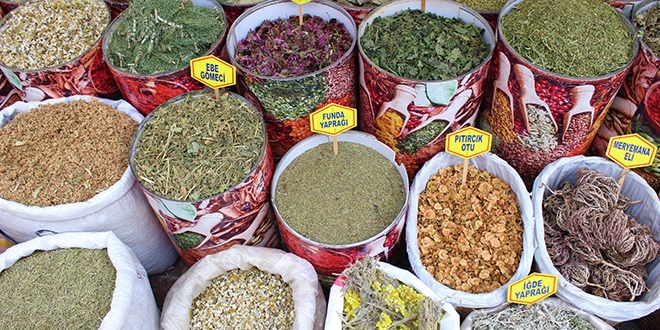 Bitkisel otlarla tedavi olmak isteyen hastalara uyarılar