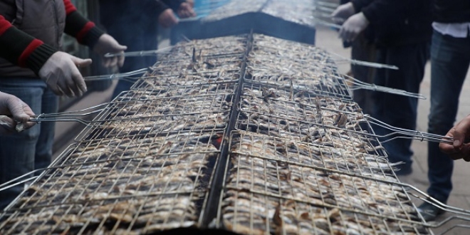 3 ton hamsiyi 2 saatte tükettiler