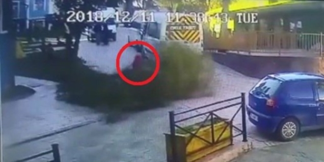 Üzerine ağaç dalı düşen anne ve 2 çocuğu yaralandı