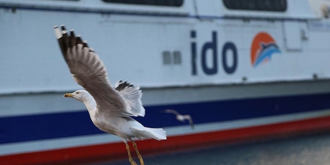 İDO'dan 'Büyük Kış İndirimi' kampanyası