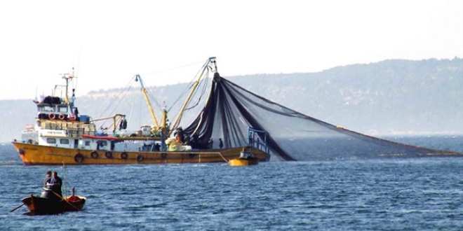 Balık, rotasını Doğu Karadeniz'e çevirdi