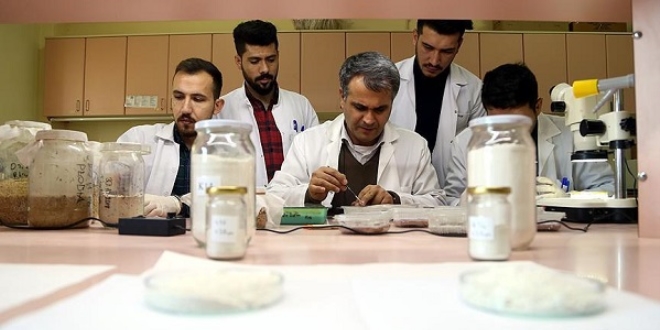 Topraktan böcek ilacı geliştirdiler