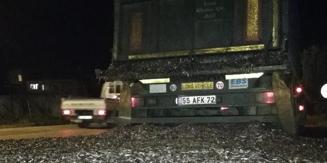 Arka kapağı açılan tırdan tonlarca hamsi yola saçıldı