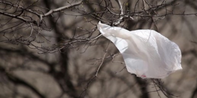 Bilmeden plastik poşet yiyoruz!