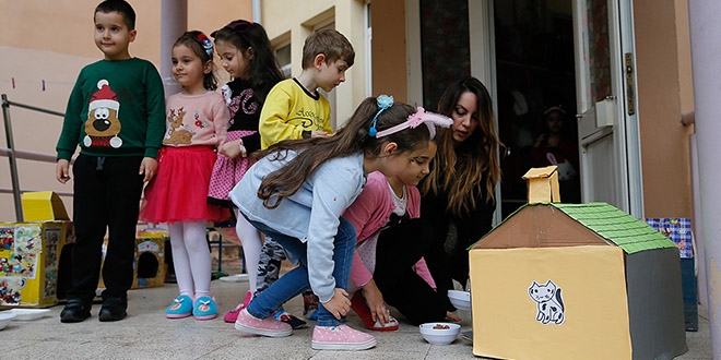 Okul bahçesi sahipsiz kedilere sıcak yuva oldu