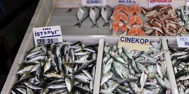 'Kişi başı yıllık 7,6 kilogram balık tüketiyoruz'