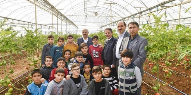 Barınma merkezindeki Suriyeliler sebze yetiştiriyor