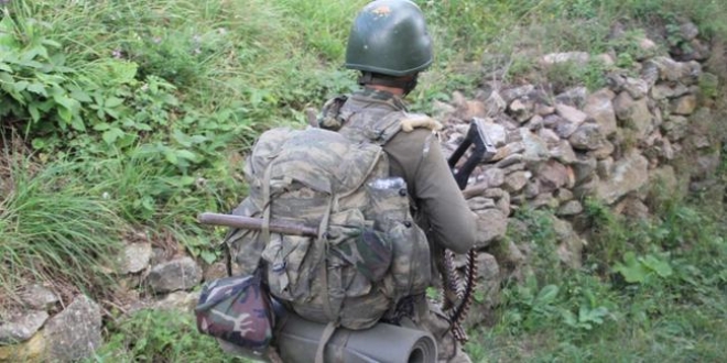 Muş'ta 2 terörist güvenlik güçlerine teslim oldu