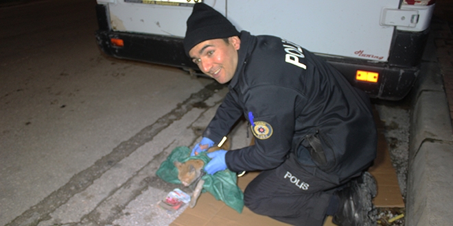 Minibste skan kediyi polisler kurtard