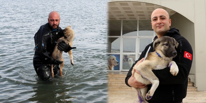 Polis memuru ölümden kurtardığı köpeği sahiplendi