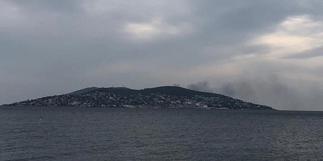 Büyükada'da yangın