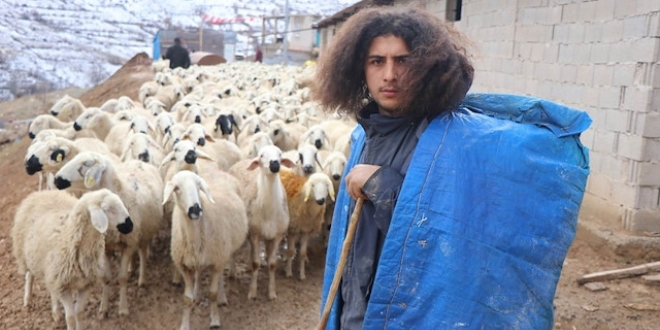 Üniversite mezunu genç 300 koyuna çobanlık yapıyor