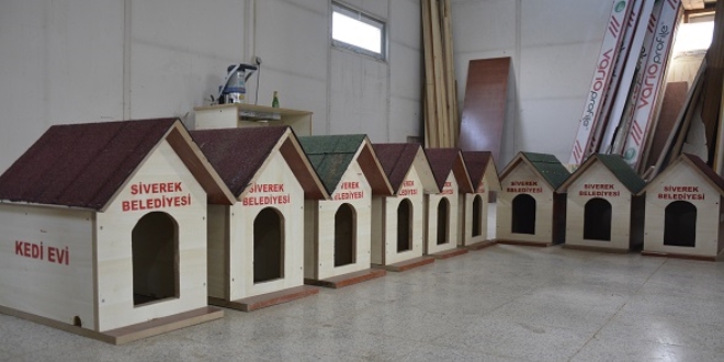 Kedilere soğukta sıcak yuva