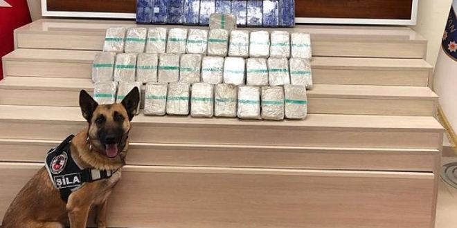 Narkotik köpeği Şila gizlenen 21 kilo eroini buldu